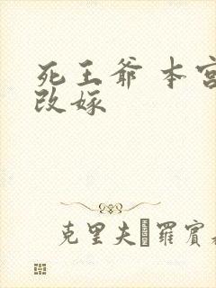 死王爷 本宫已改嫁