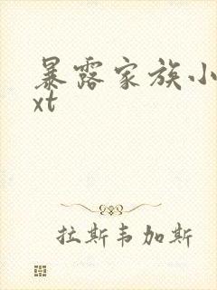 暴露家族小说txt