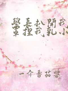 学长扒开我的乳罩捏我乳小说