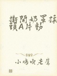 撕开奶罩揉吮奶头A片动