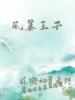 风暴王子