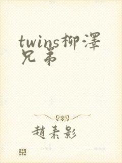 twins柳泽兄弟