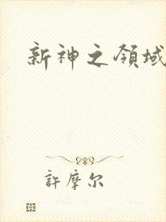 新神之领域