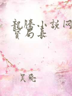 龙腾小说网 三宝局长