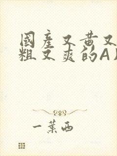 国产又黄又猛又粗又爽的A片小说