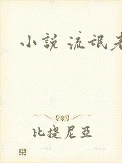 小说 流氓老师