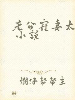 老公宠妻太甜蜜 小说