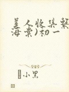 美人收集系统(海棠)初一