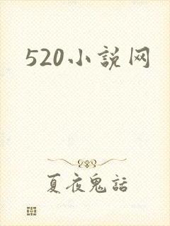 520小说网