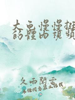 大龟慢慢挺进我的体内视频