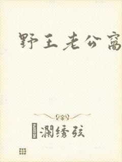 野王老公窝
