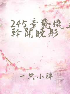 245章飞机上干关晓彤