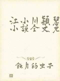 江小川颖儿穿越小说全文免费阅读