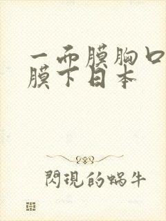 一面膜胸口一面膜下日本