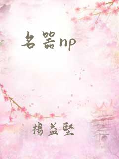 名器np