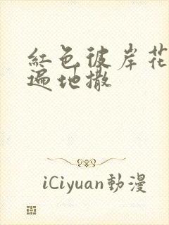 红色彼岸花花瓣遍地撒