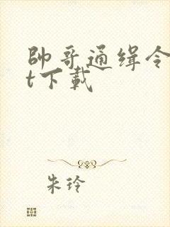 帅哥通缉令txt下载