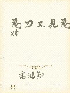 飞刀又见飞刀txt