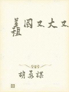 美国又大又长又租