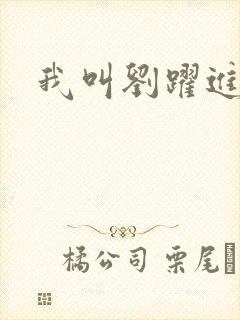 我叫刘跃进下载