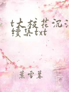 t大校花沉浮录续集txt