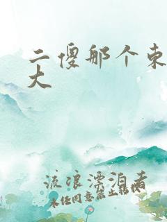 二傻那个东西真大