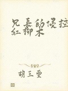 兄长的侵控by红柳木