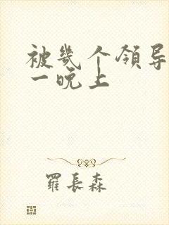 被几个领导玩弄一晚上