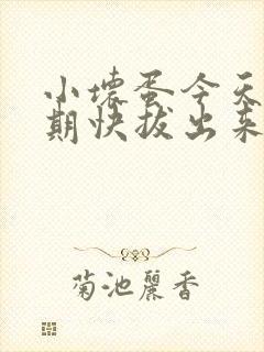 小坏蛋今天危险期快拔出来