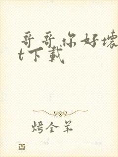 哥哥你好坏txt下载