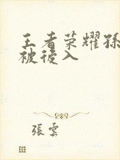 王者荣耀孙尚香被后入