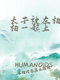 太子被左相和右相一起上