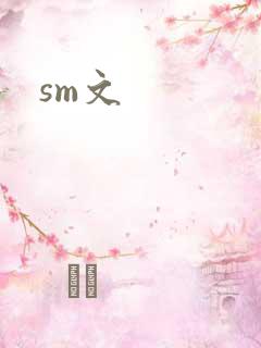 sm文