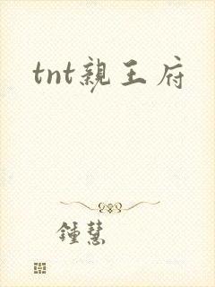tnt亲王府