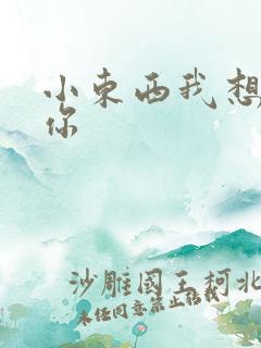 小东西我想弄坏你