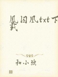 凤囚凰txt下载