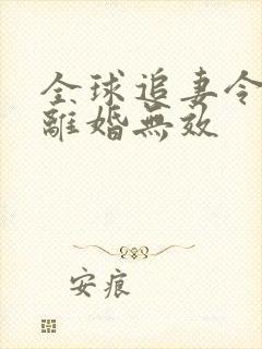 全球追妻令老婆离婚无效