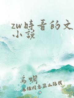 zw时看的文案小说