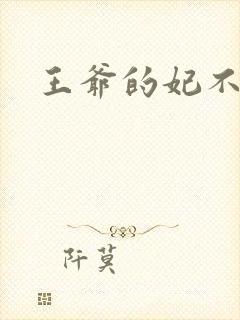 王爷的妃不是妃