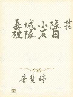 长城小队花木兰被队友日