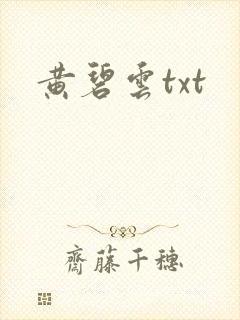 黄碧云txt