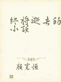 终将逝去的青春小说