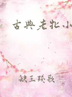 古典老牝小说