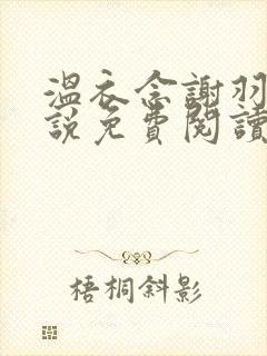 温衣念谢羽渊小说免费阅读