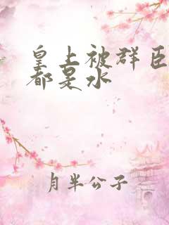 皇上被群臣干的都是水