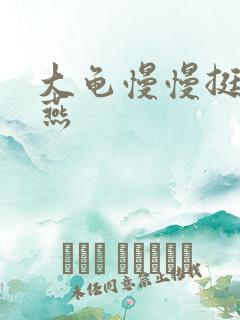 大龟慢慢挺进张燕