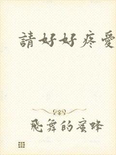 请好好疼爱里面