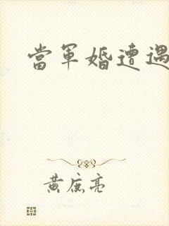 当军婚遭遇爱情