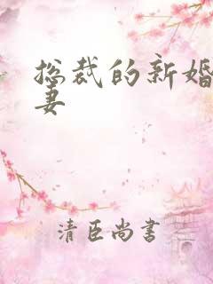 总裁的新婚下堂妻