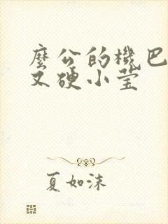 么公的机巴又粗又硬小莹